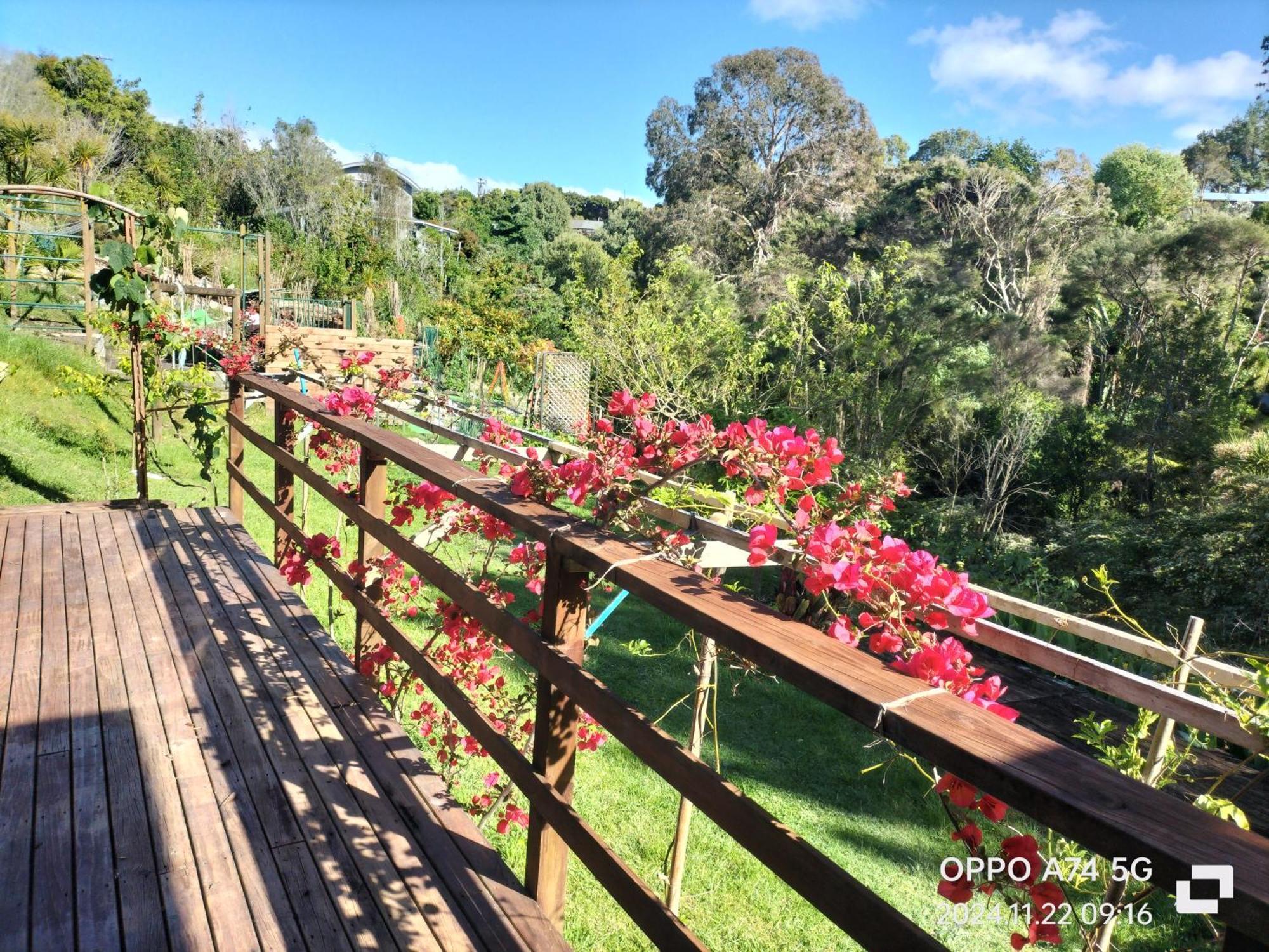 别墅中的一间客房 Auckland Exterior foto